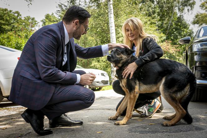 Orlen wspiera zwierzęta z płockiego schroniska. Napoleon będzie miał nowy dom