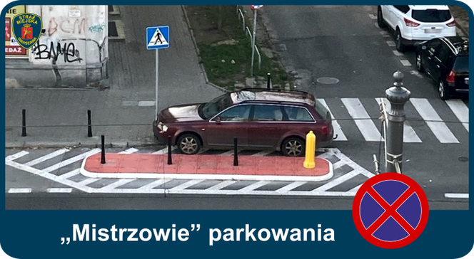 Mistrzowie parkowania. Tak kierowcy parkują w Warszawie