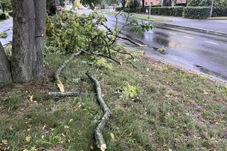 Przerwany stand-up Michała Koterskiego na Wartowni w Gorzowie Wielkopolskim