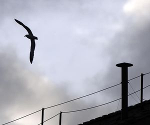 Kaplica Sykstyńska gotowa na konklawe