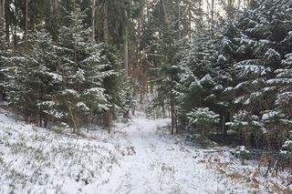 Dlaczego warto odwiedzić Warmię i Mazury zimą? Takich atrakcji się nie spodziewasz