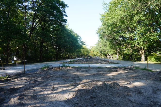 Rewitalizacja Parku Planty w Białymstoku latem 2025