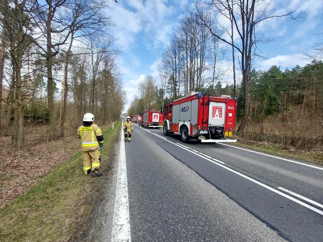 Pod Lubienią dachowało auto osobowe. Jedna osoba poszkodowana