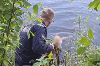 Wybiegł z domu na golasa i straszył turystów. Bezwstydnik z Augustowa omal się nie utopił