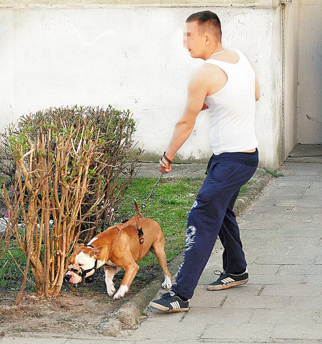 Pies odgryzł maleństwu twarz