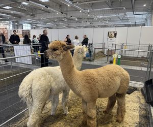 ZooPark w Lublinie. Dzień drugi