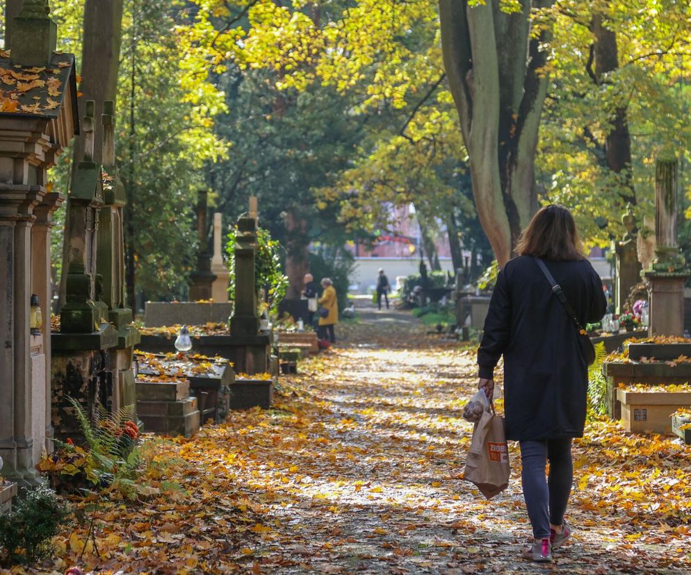 Wszystkich Świętych 2025. Godziny otwarcia cmentarzy w Krakowie