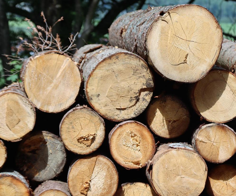 Rywałd: Tragiczny wypadek podczas załadunku drewna! Nie żyje 40-letni pracownik 