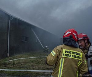 Pożar zakładu meblarskiego w Sadowie