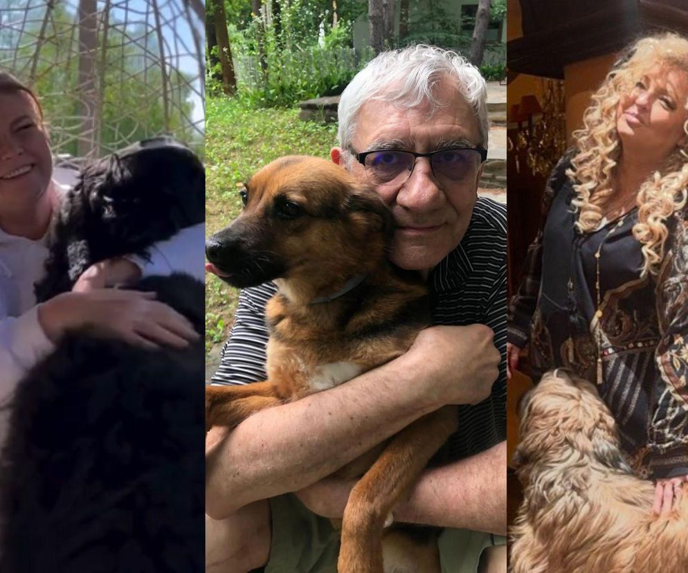 Te psy skradły serca gwiazd! Niektóre wyglądają jak z bajk