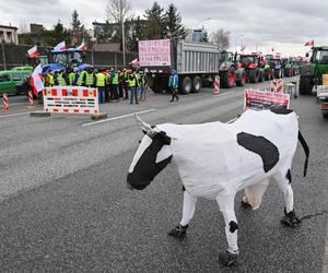 Protest rolników 