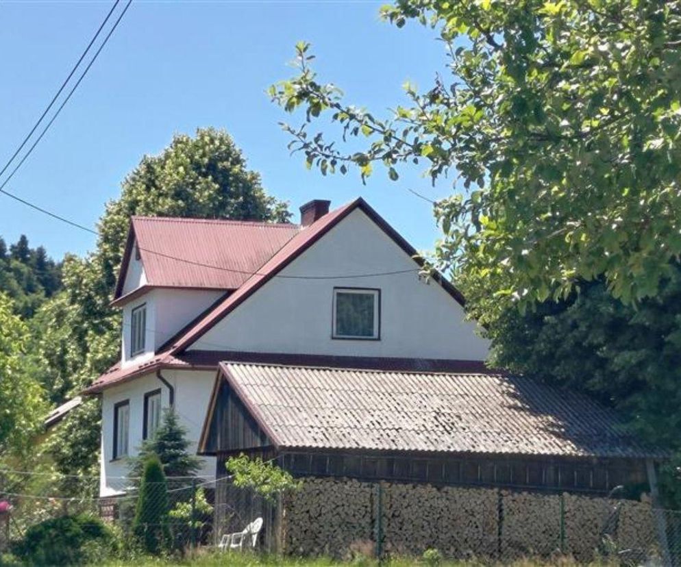 Ruszyły zbiórki dla Poli. „Pieniądze nie zastąpią jej rodziców, ale mogą pomóc” 