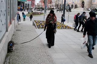 Przygarnęłam szopa