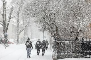 Pogoda w Polsce 8 i 9 lutego 2021 - śnieg, zawieje śnieżne i mróz. Zima nie odpuszcza!