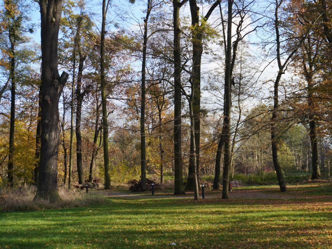 Pałac w Baranowicach jesienią