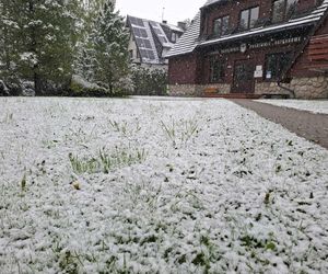 Atak zimy w maju. Śnieg w Zakopanem