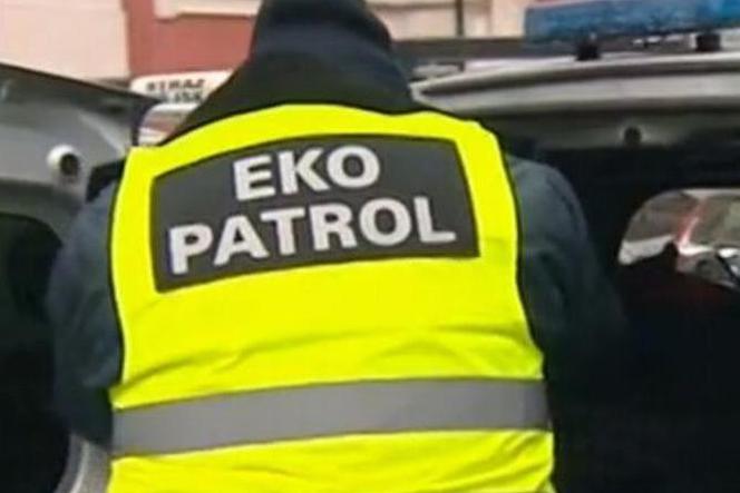 Nieprawidłowości w deklaracjach śmieciowych 