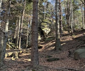 Podkarpackie Prządki - niezwykłe miejsce na spacer 