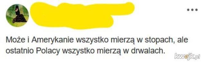 Tak się śmieją z Polski i Polaków! TOP 40 najśmieszniejszych memów