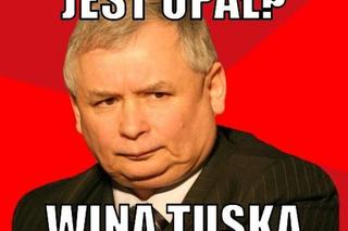 Memy o upale