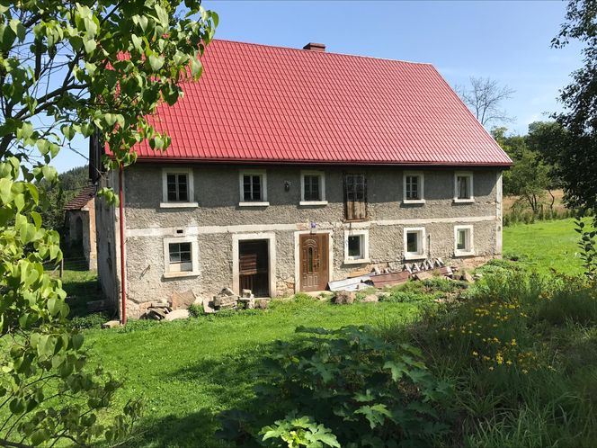 Dwie Brzozy w Kleczy pod Wleniem
