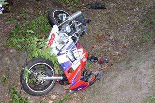 Uderzył motocyklem w łosia. 21-latek zmarł wskutek poniesionych obrażeń