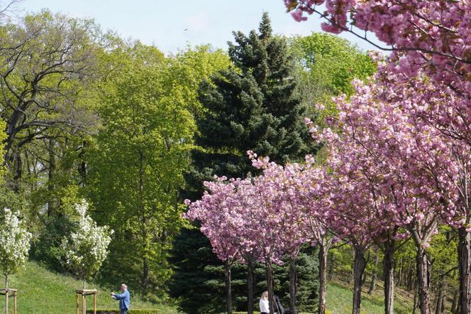 Park Cytadela