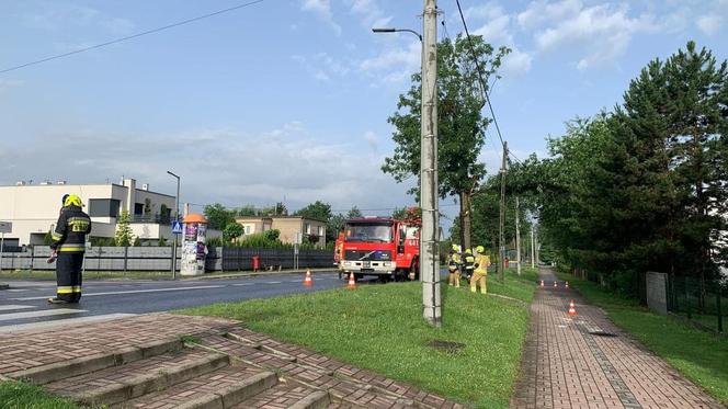 Burze i nawałnice nad Podkarpaciem. Strażacy interweniowali prawie 500 razy [ZDJĘCIA]