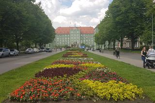 Szczecin w kwiatach