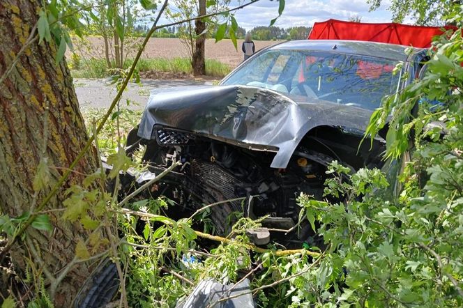 86-letni kierowca nagle zjechał na pobocze. Skończyło się tragicznie