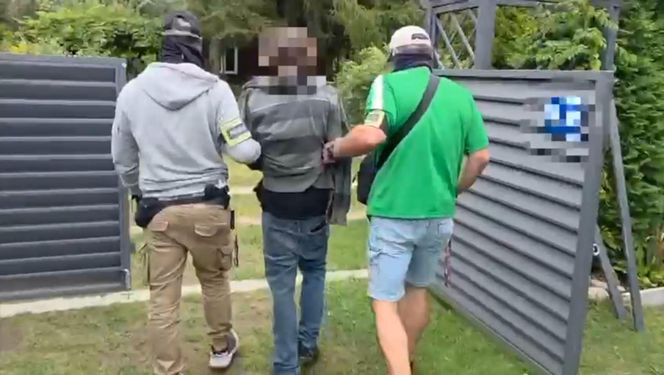 Działkowiec z Piaseczna obok pomidorów sadził marihuanę. Plantacja w rękach policji