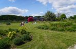 Ogród Botaniczny w Kielcach