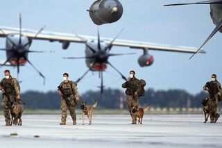 Amerykańska baza Bagram, która pokaże bazę za czasów urzędowania w niej Amerykanów?