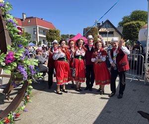 Krótkanoc