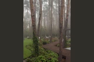 Sylwia Przybysz zaczarowała fanów kadrami z ogrodu. Magia w czystej postaci!