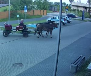 Dostał dożywotni zakaz, więc wymyślił to! Policjanci wyjrzeli przez okno i zobaczyli, jak wjeżdża na parking [WIDEO]