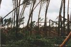 Niszczycielski huragan spustoszył Puszczę Piską. Wiatr osiągał 170 km/h [ZDJĘCIA]