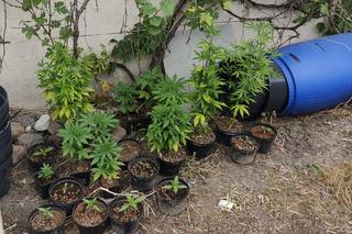 Kiedy policjanci zajrzeli do zamrażarki mężczyzny, był ugotowany. Grożą mu lata odsiadki