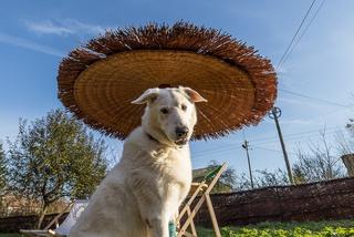 Dostał łapę z drukarki 3d