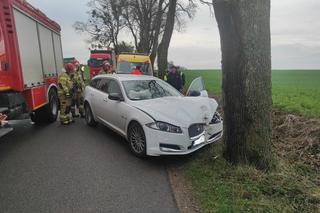 Wypadek w Nastajkach. Jaguar uderzył w drzewo. Kierowca trafił do szpitala! [ZDJĘCIA]