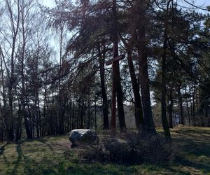 Nawiedzone miejsca. W Gdyni straszy Blady Józek. Duch małego chłopca pojawia się tu od 130. lat 