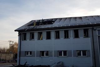 Potężny pożar wielkiej hali warsztatowej w Bodzentynie! Runął dach!