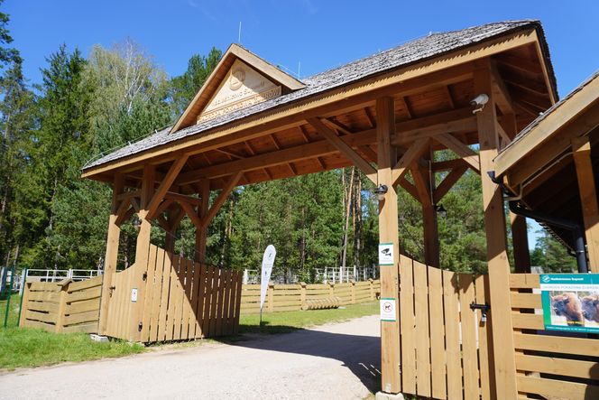 Turystyczna Ósemka. Relacja z turystycznego hitu tego lata w Podlaskiem