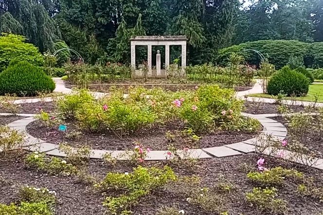 Ohlsdorfer Friedhof w Hamburgu
