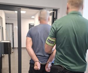 Staranował samochodem stado dzików. Grozi mu więzienie!
