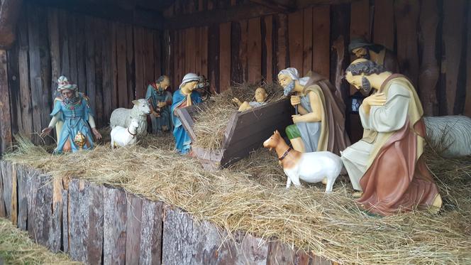 Będzińska Szopka Bożonarodzeniowa