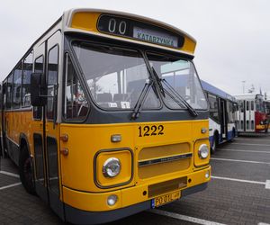 Katarzynki 2024 - wystawa autobusów przy Galerii Panorama