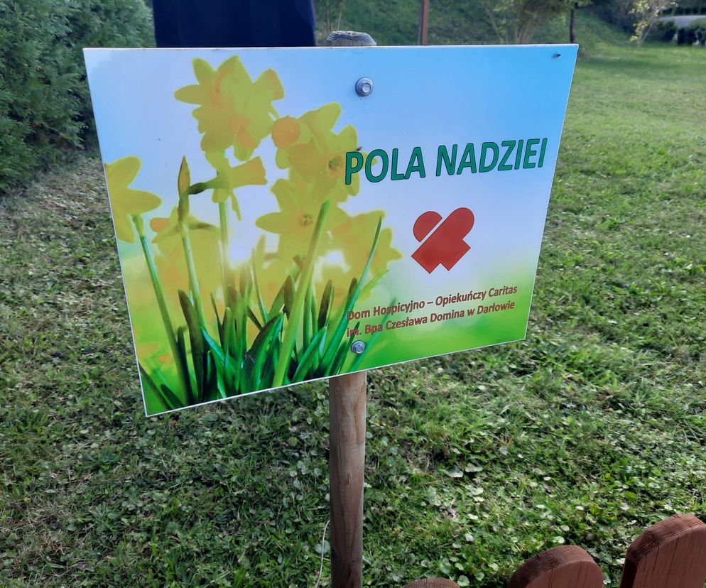 Pola nadziei w hospicjum w Darłowie