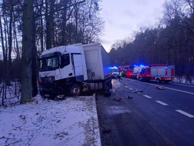 Śmiertelny wypadek w Parkowie. Dwie osoby nie żyją. 