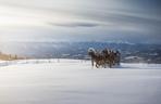 Południowy Tyrol na narty - zdjęcia